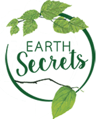 Earth Secrets