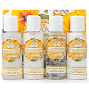 Hibiscus Flower Travel Collection