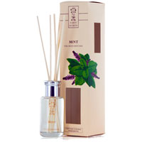 Earth Secrets - Reed Diffuser - Mint