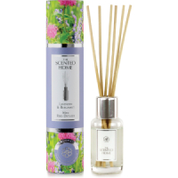 The Scented Home - Mini Reed Diffuser - Lavender & Bergamot