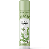 Herbal Tea Tree Lip Balm