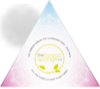 The Konjac Sponge Company