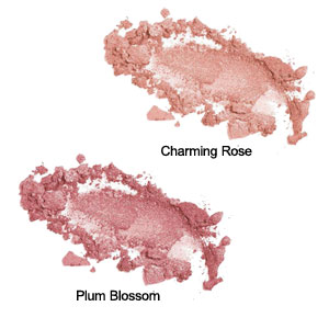 So Fresh Mineral Rouge Powder - Colour Chart