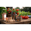 Tomato Leaf Hand Wash